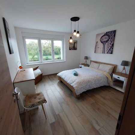Le Bord De Sarre Meuble 3 Etoiles Διαμέρισμα Sarreguemines Εξωτερικό φωτογραφία